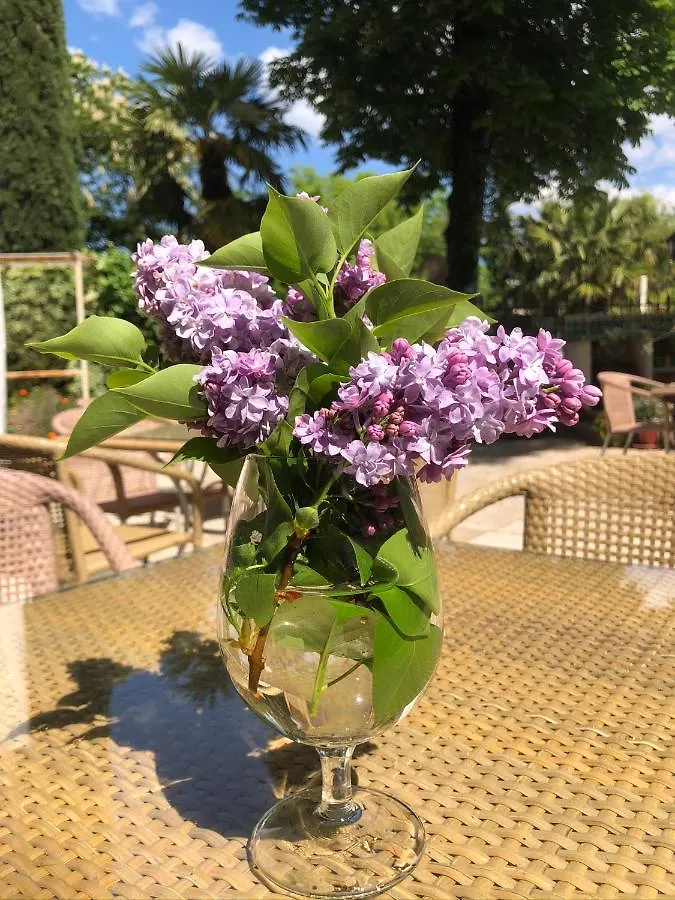 Bed & Breakfast Maison Du Midi Bed and Breakfast Lorgues